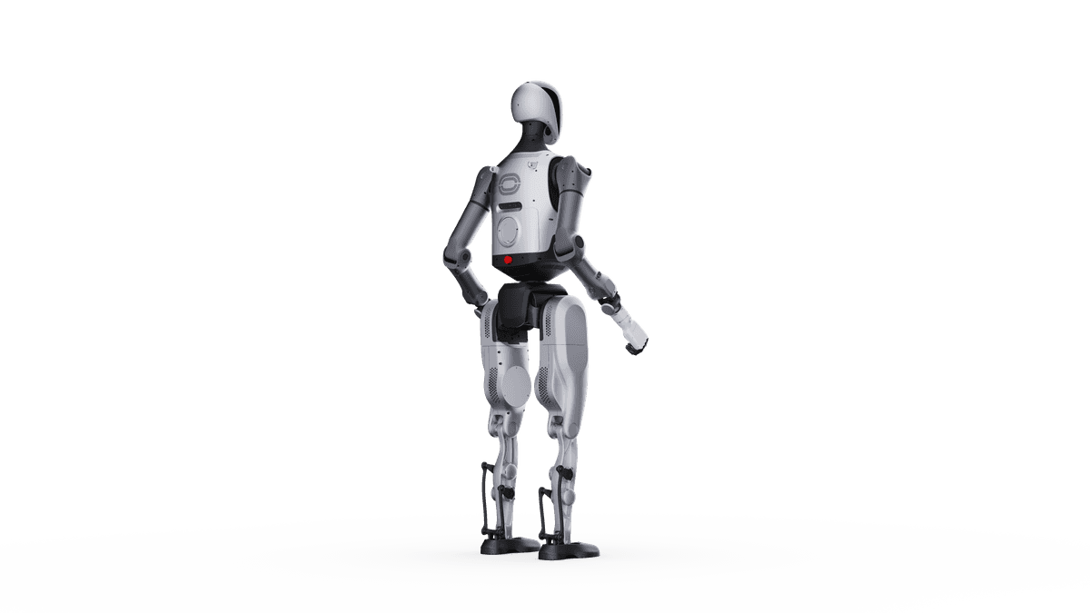 Walker Tienkung 동작 2